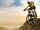 10 Essential Mountain Bike Tips for Beginners